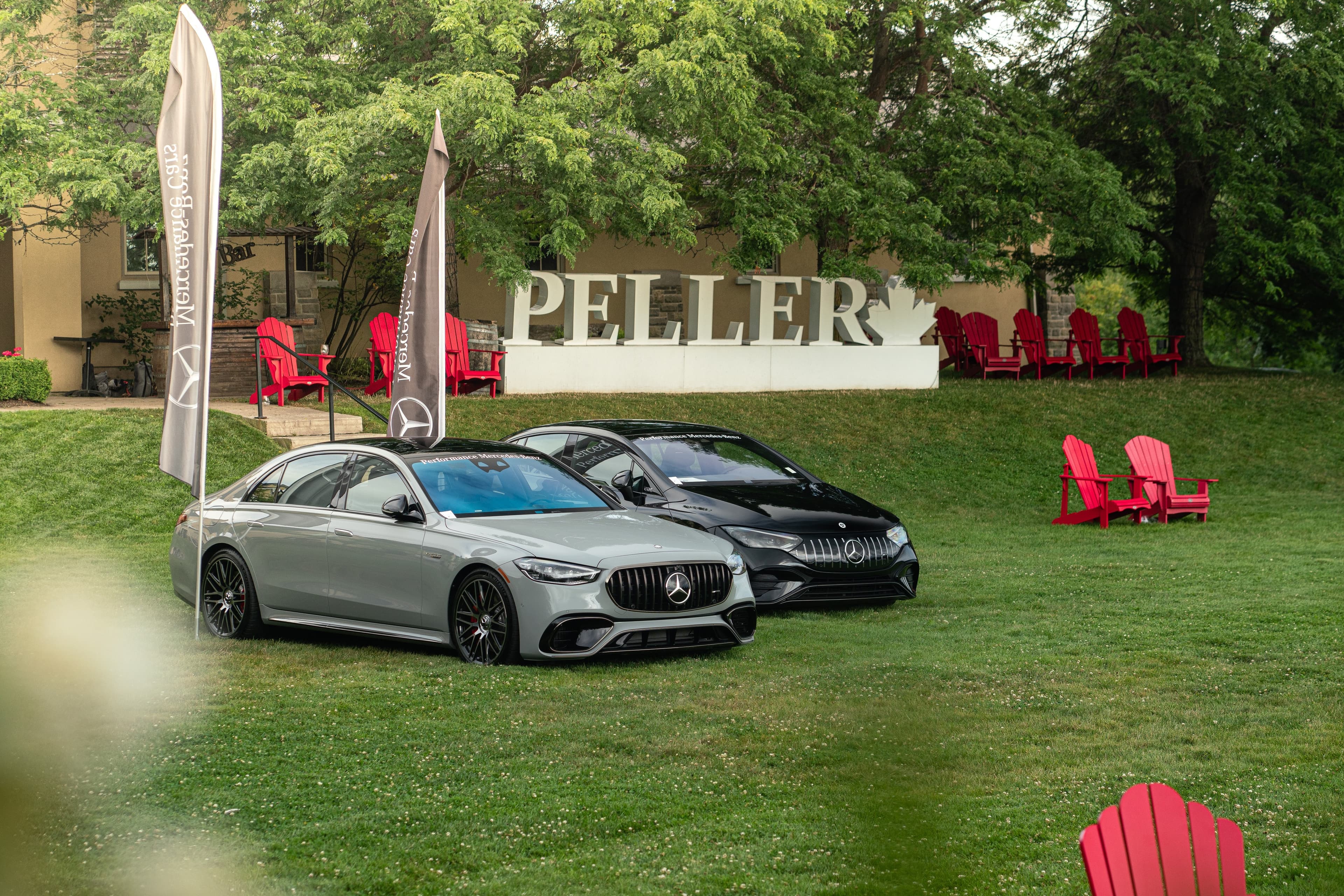 Two Mercedes-AMG display sedans on the lawn at Peller Estates