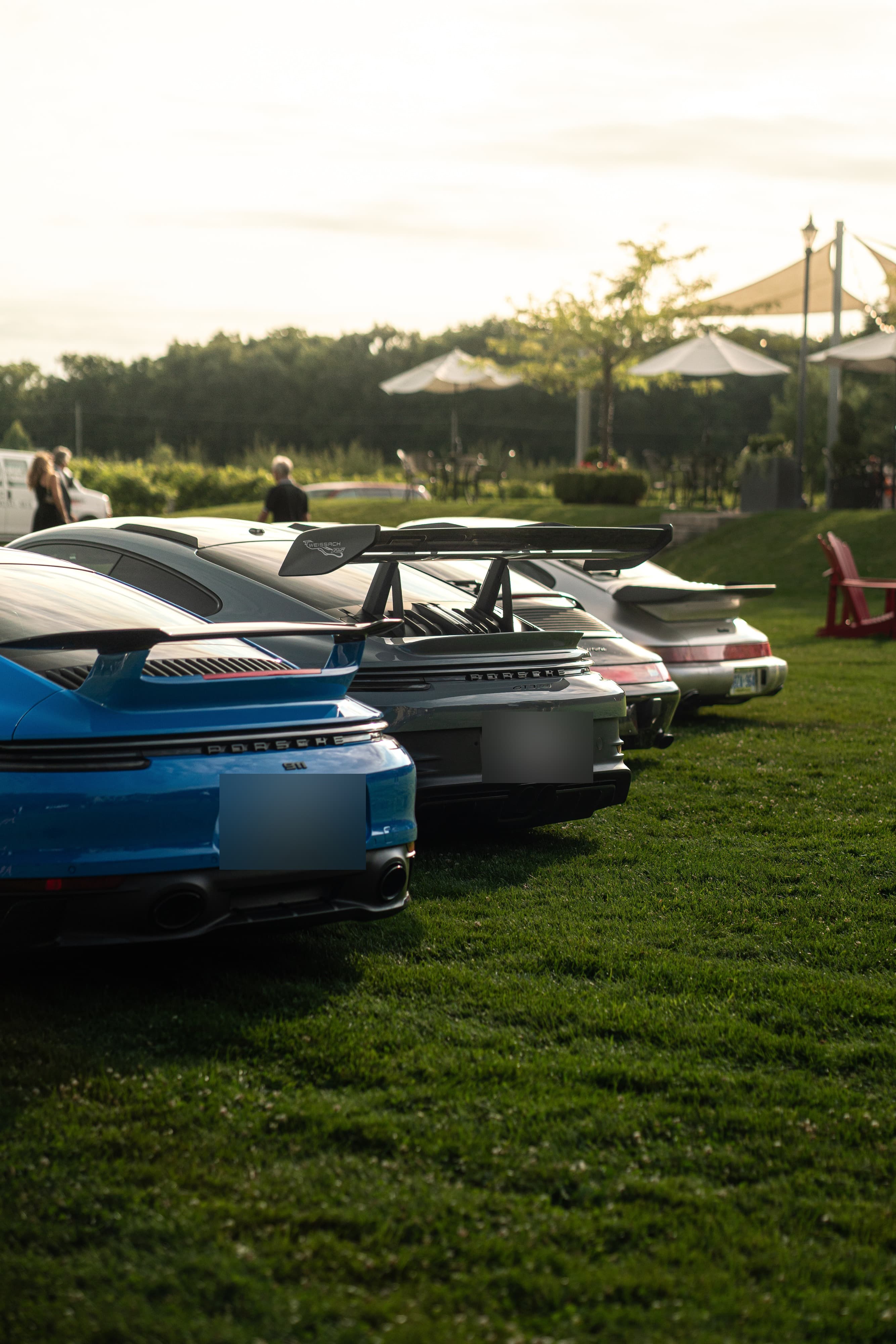 Row of Porsche 911s parked on a winery lawn at sunset